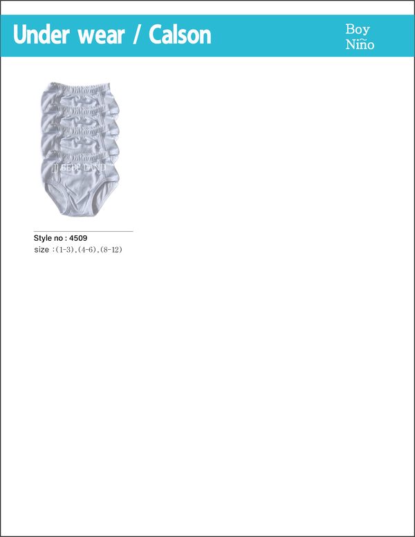 Boy briefs 4509